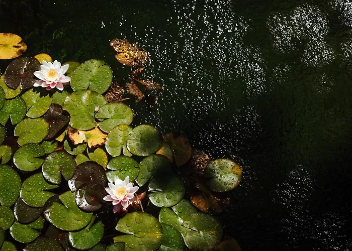 Quinta Da Ponte By Geres Casas * テーラス・デ・ボウロ