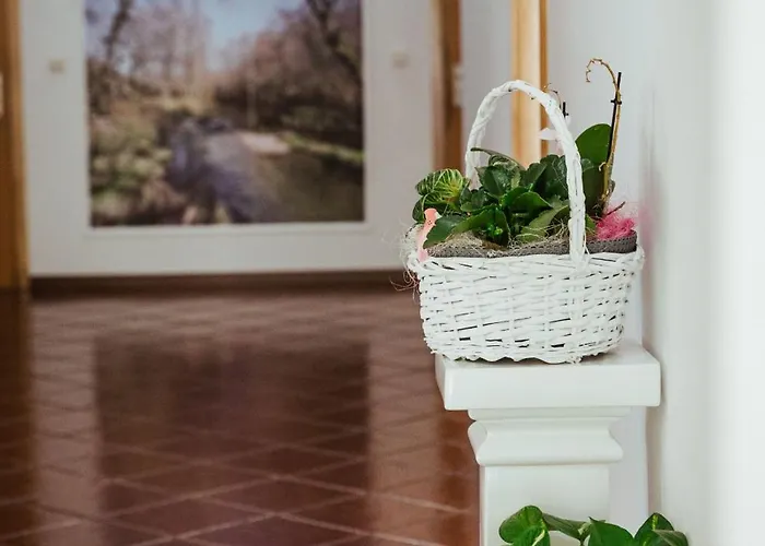 Quinta Da Ponte By Geres Casas 別荘 *